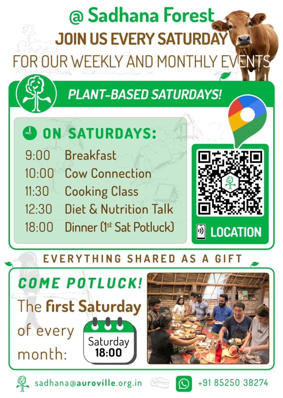🌱 Plant Based Saturday at Sadhana Forest 🌱 Join us Saturday for a day of connection, learni...