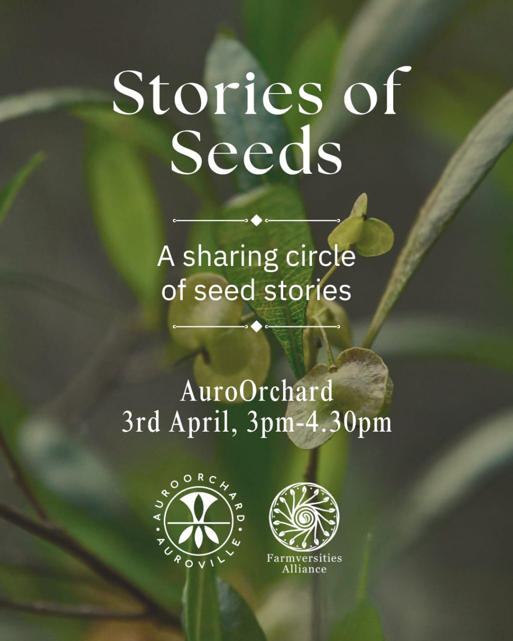 Seeds the carriers of life, more often than not also come with stories. Who grew them, what t...